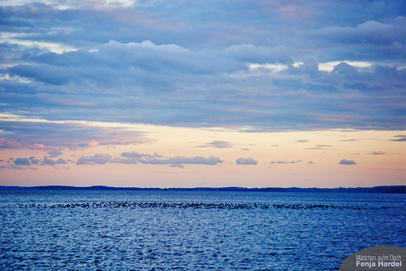 Mecklenburg-Vorpommern, Klink Mecklenburg-Vorpommern, Klink