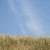 DSC_0024.jpg