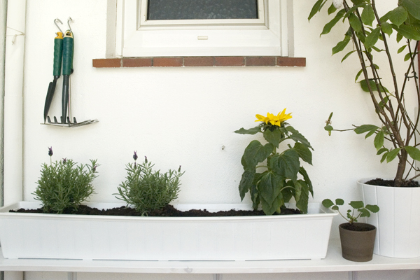 balkon2