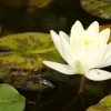 08