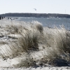Laboe