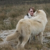Noran II