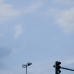 DSC_0248.jpg