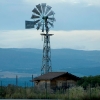 DSC_1519.jpg