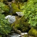 DSC_2645.jpg