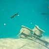 DSC_3314.jpg