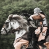 ritter6